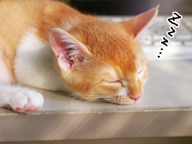 短眠法って知ってる？短時間の睡眠でもスッキリできる５つのポイント 【短時間睡眠のコツ】